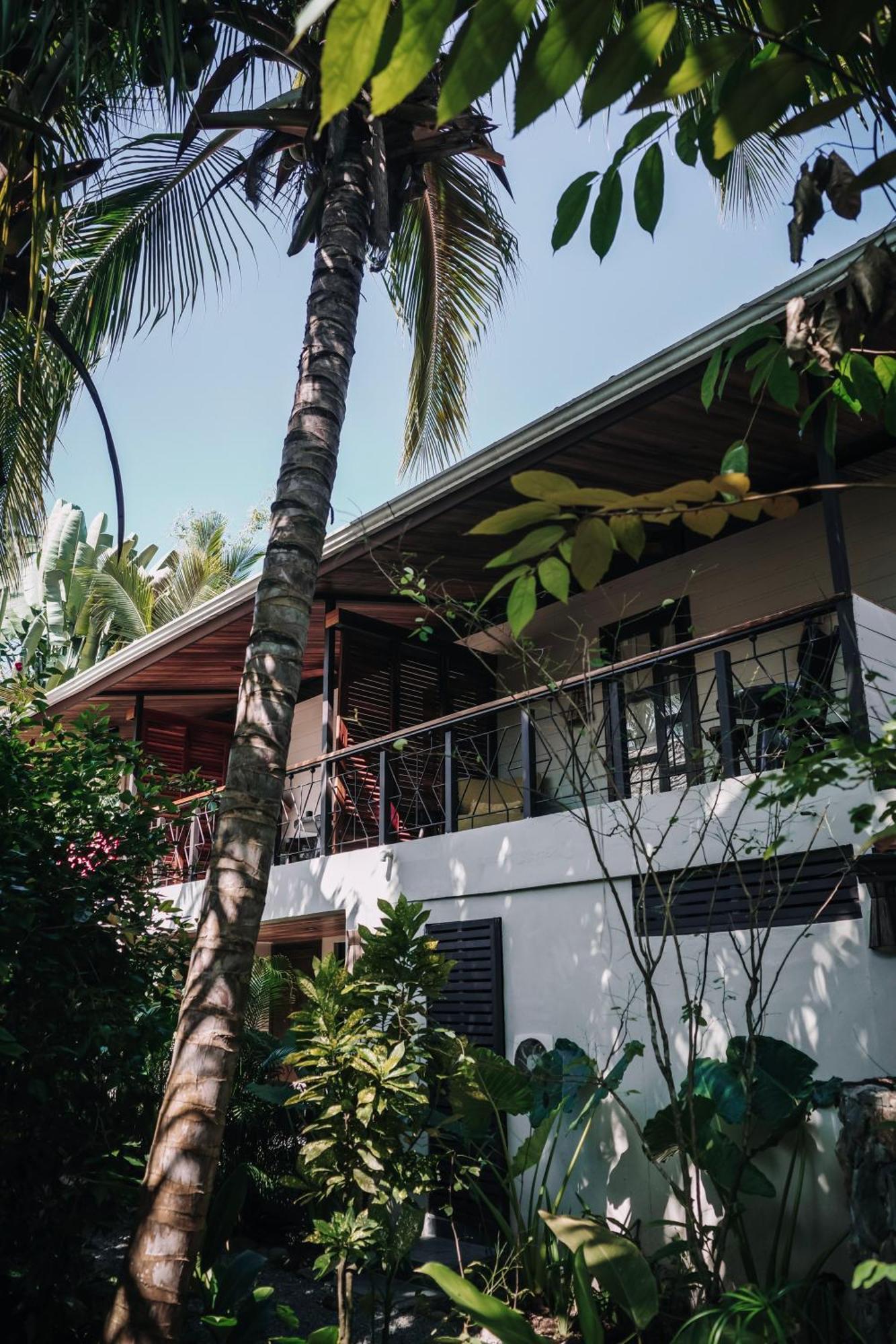 Conga Boutique Hotel Puerto Viejo de Talamanca Buitenkant foto
