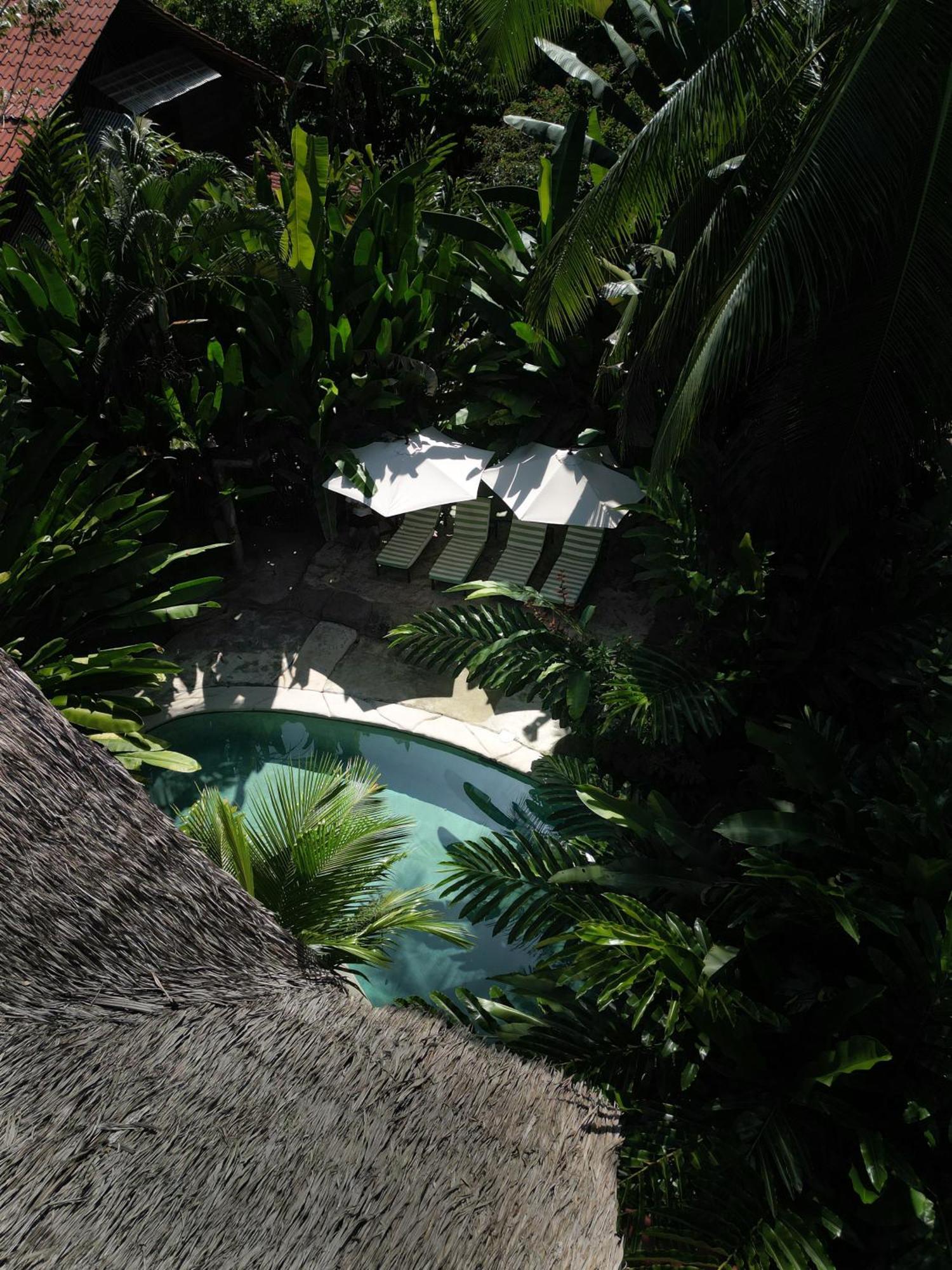 Conga Boutique Hotel Puerto Viejo de Talamanca Buitenkant foto